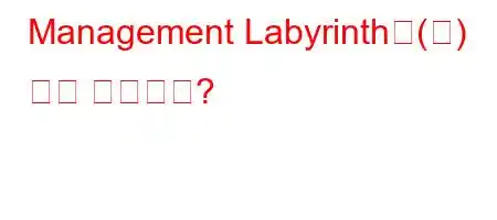 Management Labyrinth은(는) 무슨 뜻인가요?